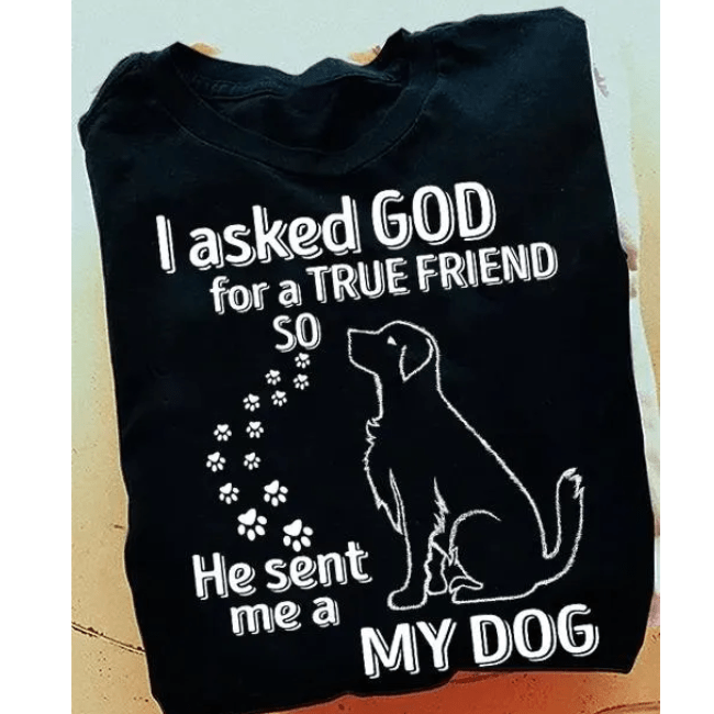 M176_I Asked God For A True Friend T-shirt