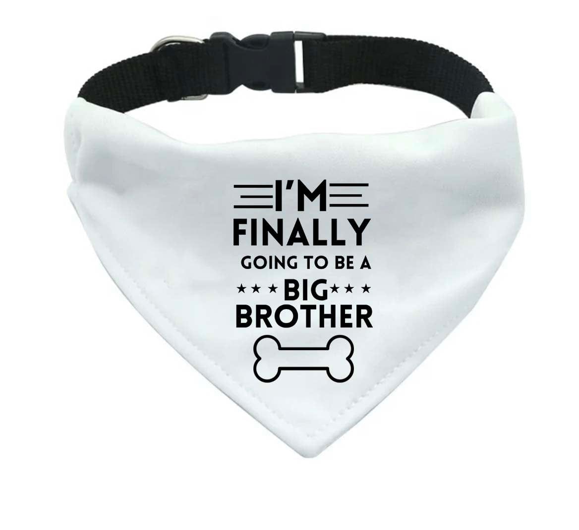 M171_DOG BIB SET OF 2